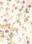 1880_2_cole_and_son_archive_anthology_sweet_pea-23355