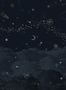 4662_1_isidore_leroy_cosmos_nuit_123_6241801-58046