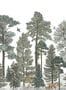 6929_1_Rebel_Walls_Scandinavian_Bellewood_R17206-89284