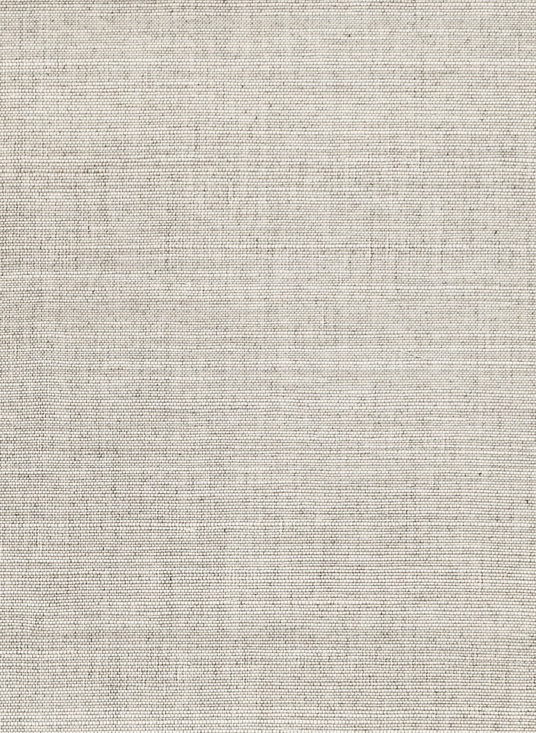 Tapete Line - Pale Smoke
