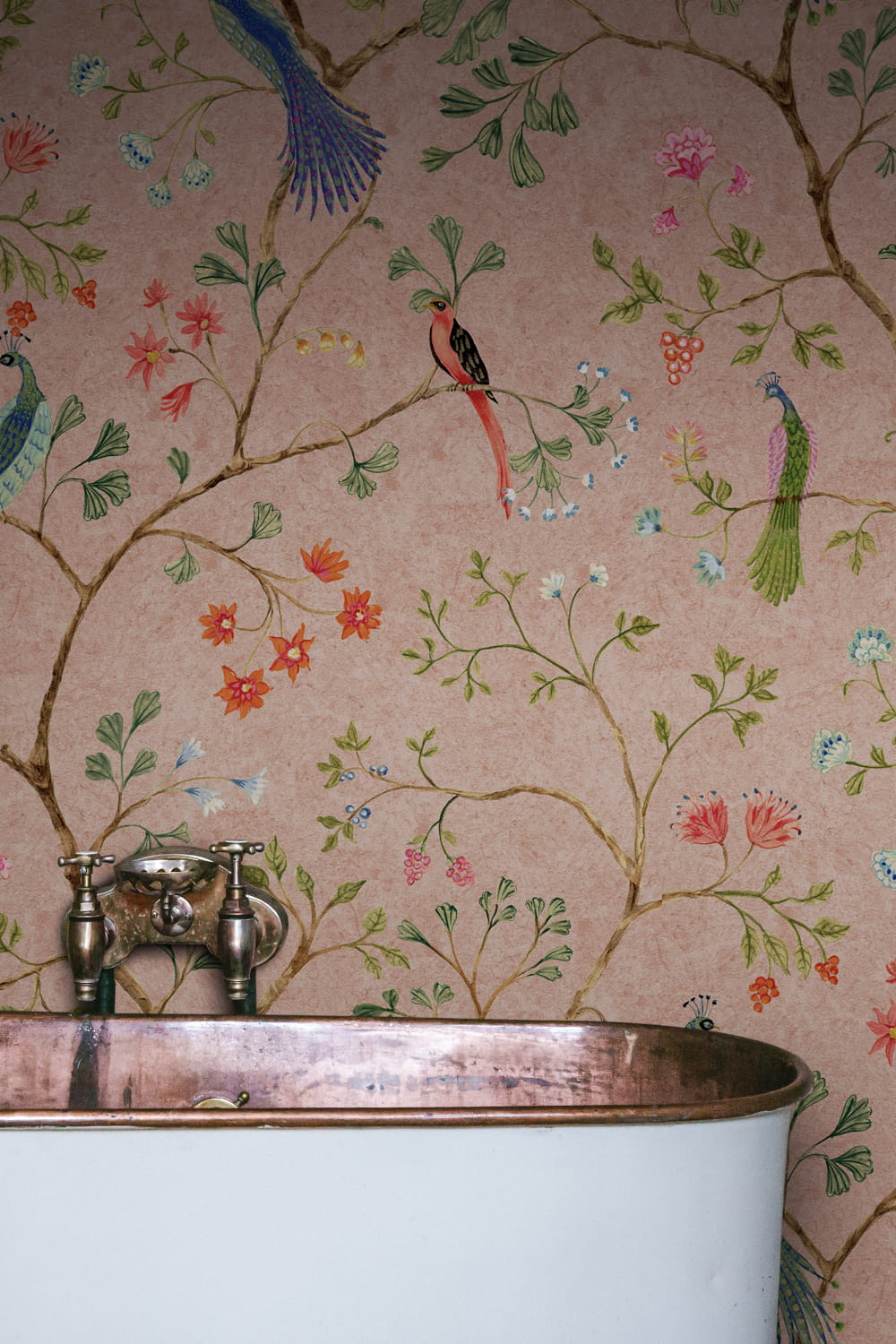 Wandbild Songbirds - Pink