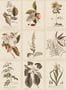 16377_03_Sandberg_Flora_S10599-158666