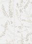 3519_1_boras_bladranker_1785-29834