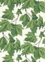 8391_1_Harlequin_Dappled_Leaf_113045-115129