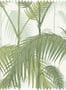 52511_05_Cole_and_Son_Palm_Jungle_Fabric_F111_2007LU-188595