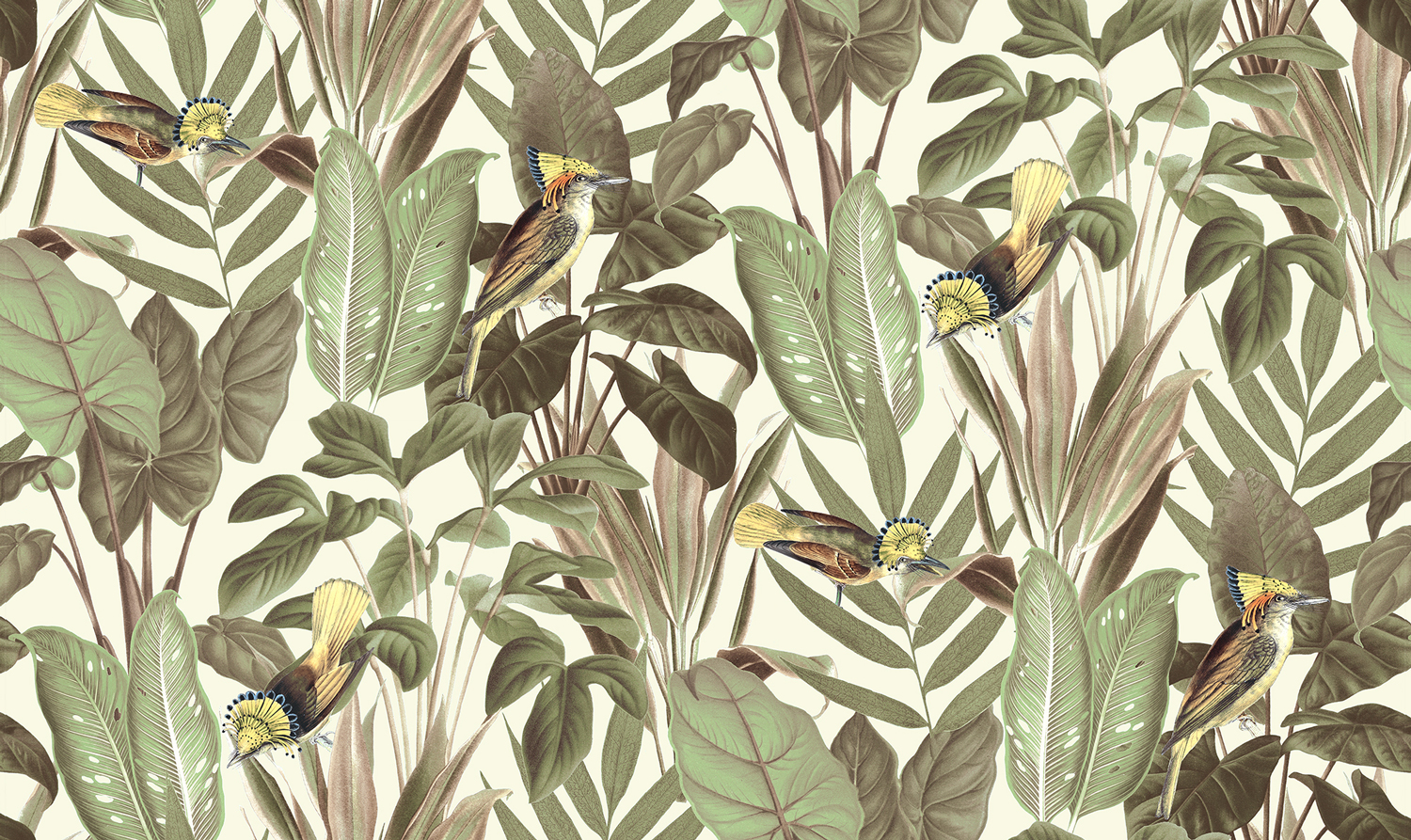 Tapete Birds of Paradise - Bright Dawn