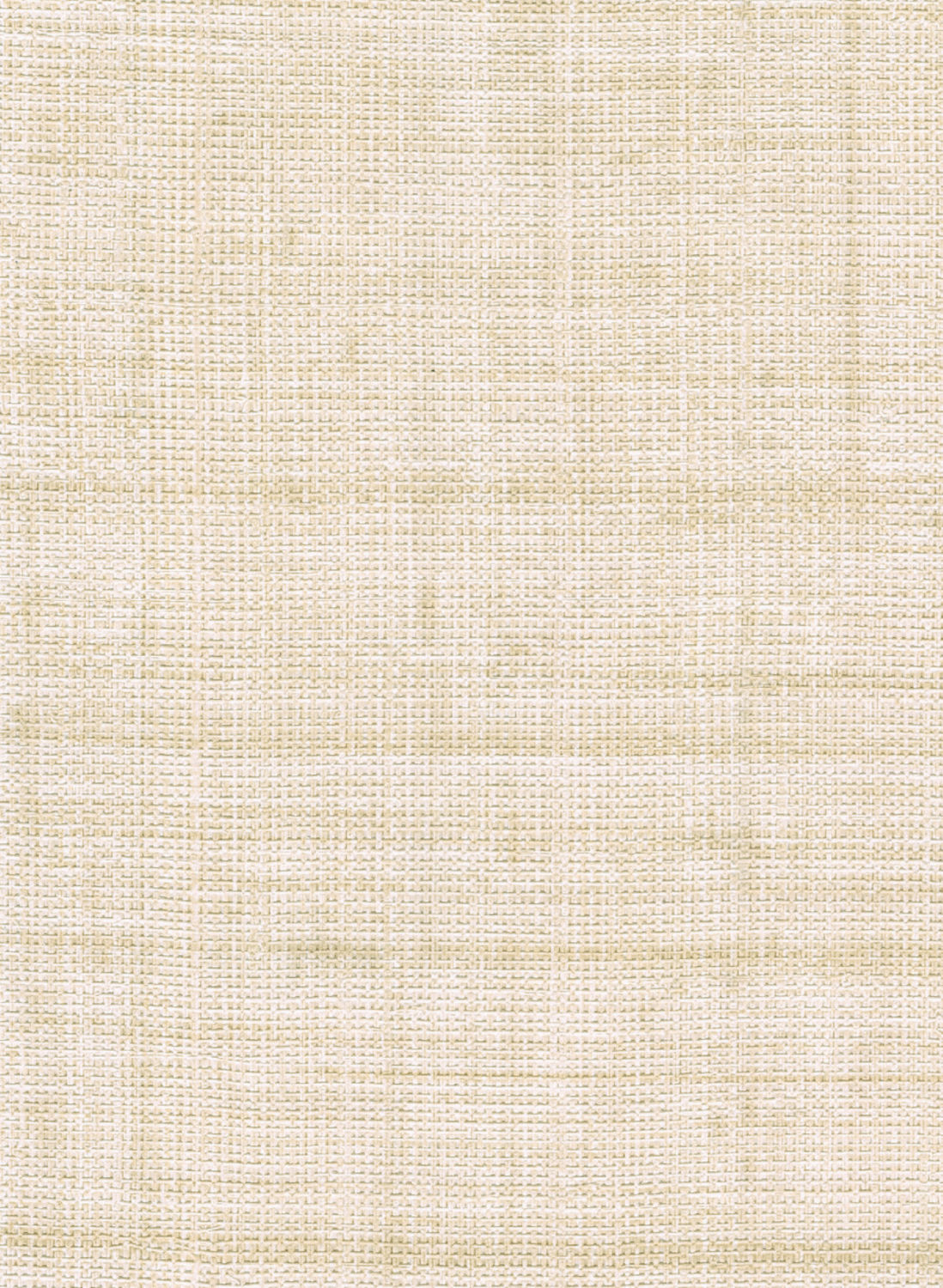 Tapete Abaca - VP 983 01