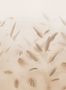 17593_02_Jannelli_and_Volpi_Nadi_41430-154785