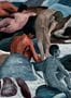 9401_1_Arte-International_Saturnia_70500-91018