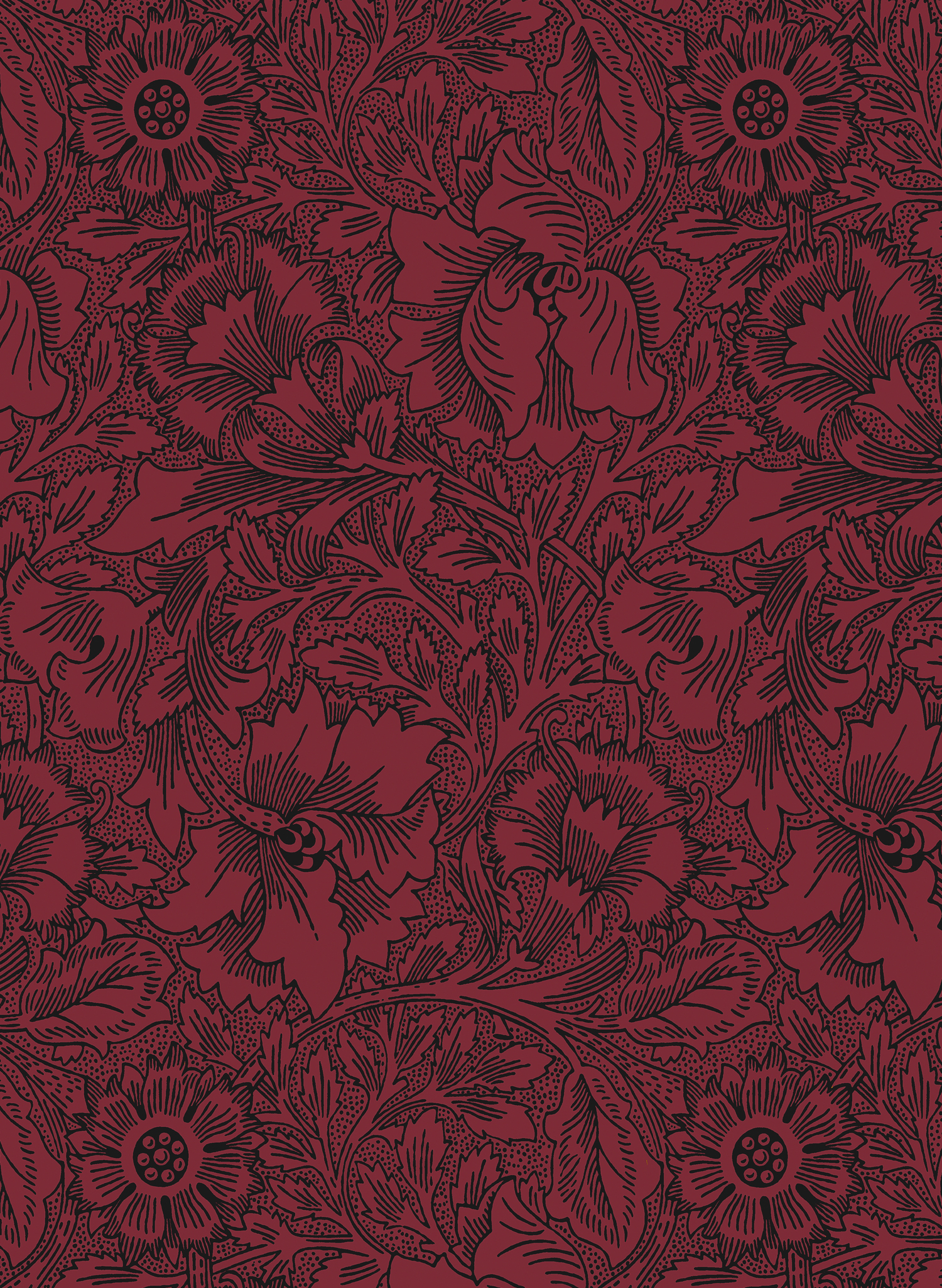 Tapete Poppy - Claret