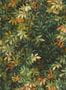 9483_2_Clarke_and_Clarke_Congo_W0140-02-94500