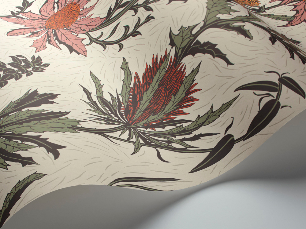 Tapete Thistle - Pink and White