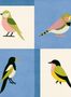 18109_05_Coordonné_Like_a_Bird_C00137-175210