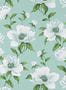 6922_3_Manuel_Canovas_Bianca_03118-03-87328
