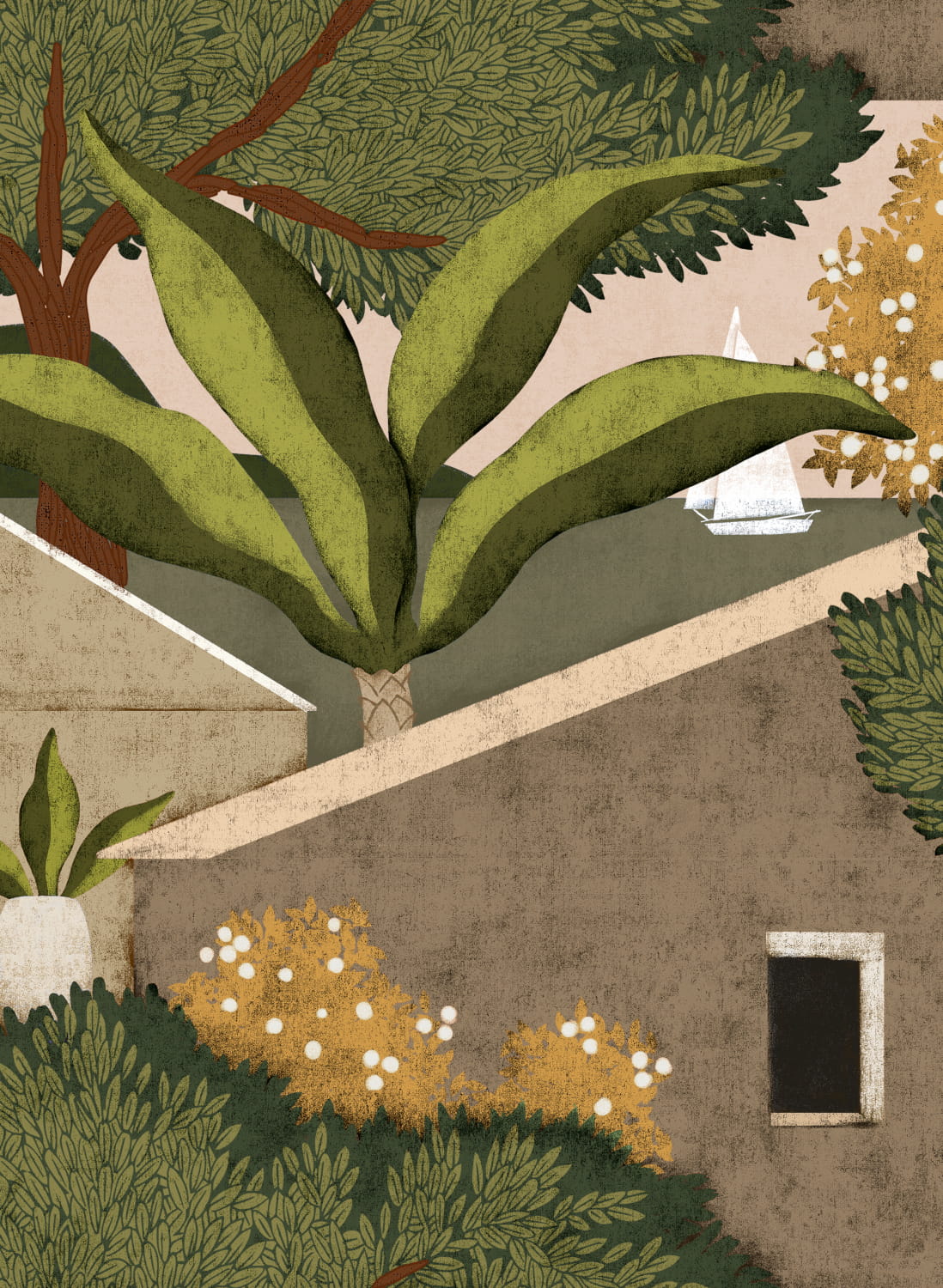 Tapete Nopoló - Cactus