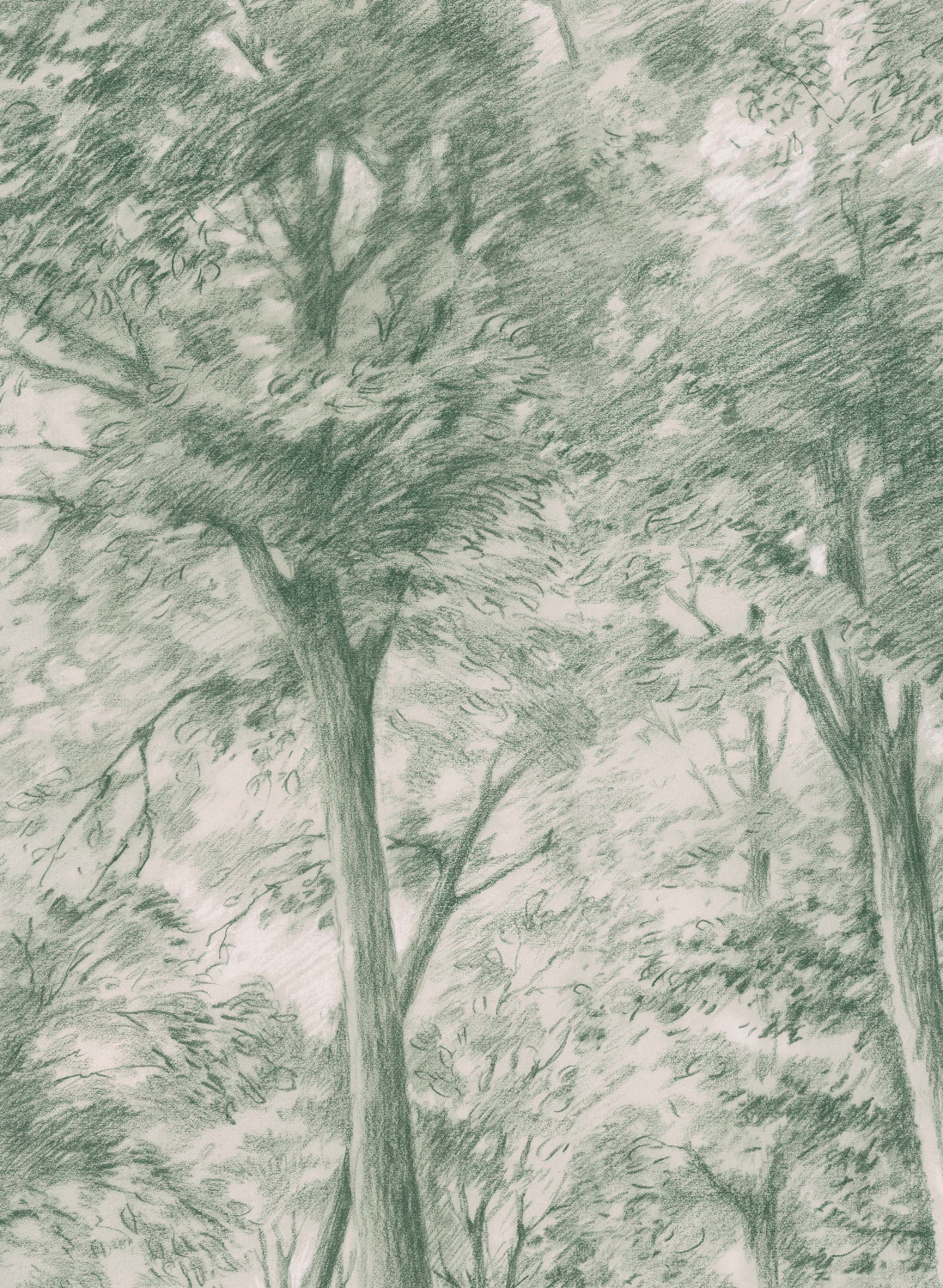 Wandbild Sketch of Trees - 9632W