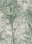 17938_03_Boråstapeter_Sketch_of_Trees_9632W-177079