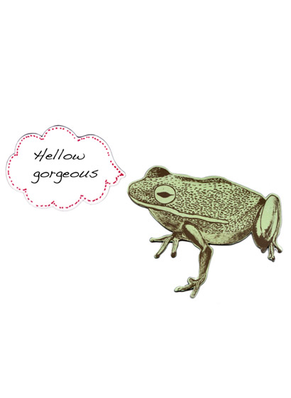 Magnet Frog
