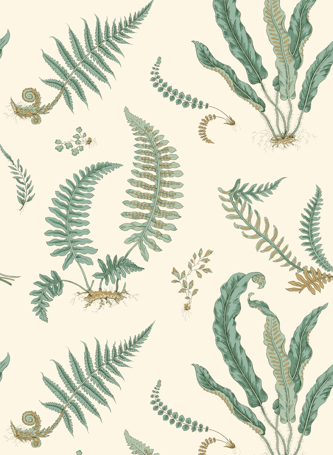 Tapete Ferns - Verdigris