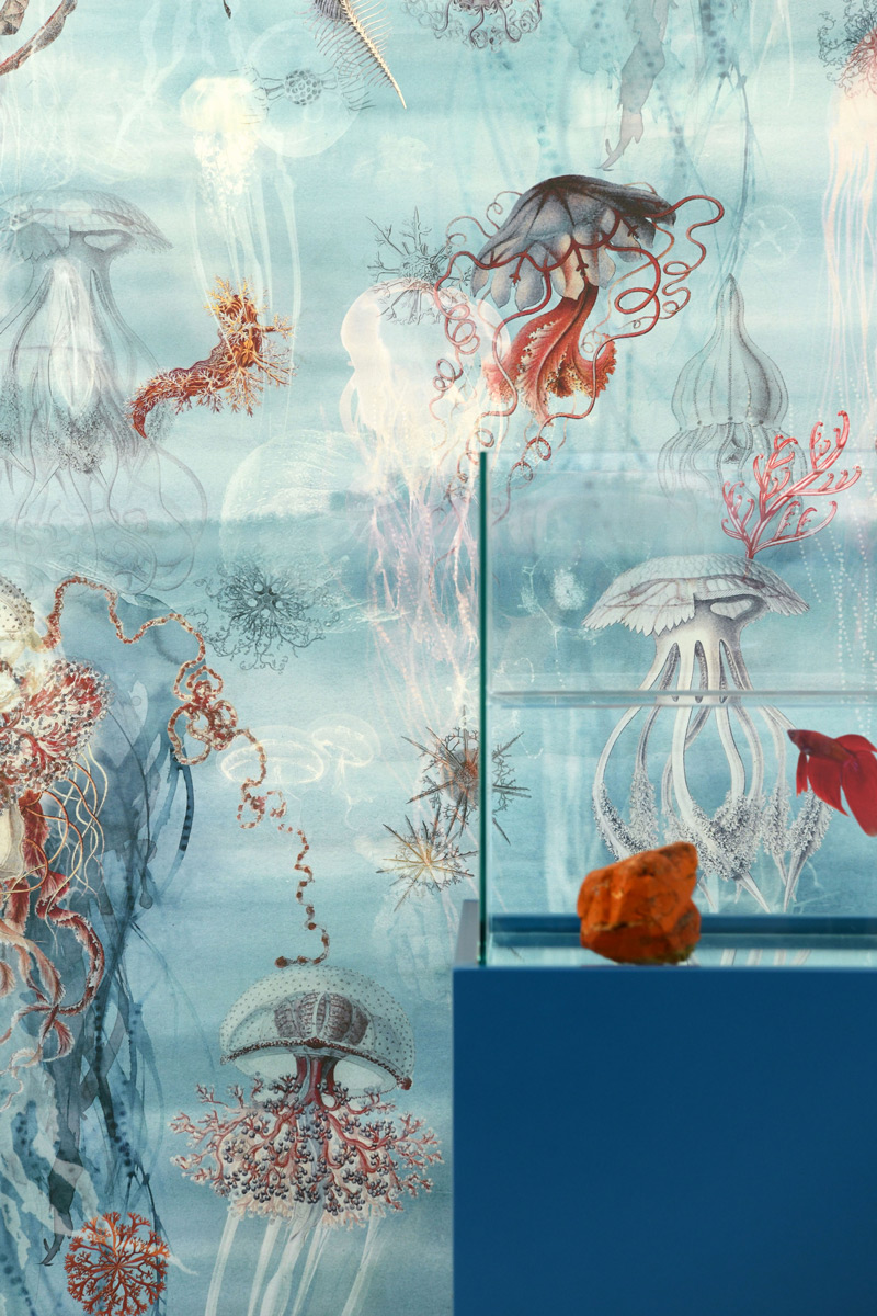 Wandbild Abyssal - Ocean
