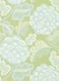 7623_3_Harlequin_Flourish_112937-96406