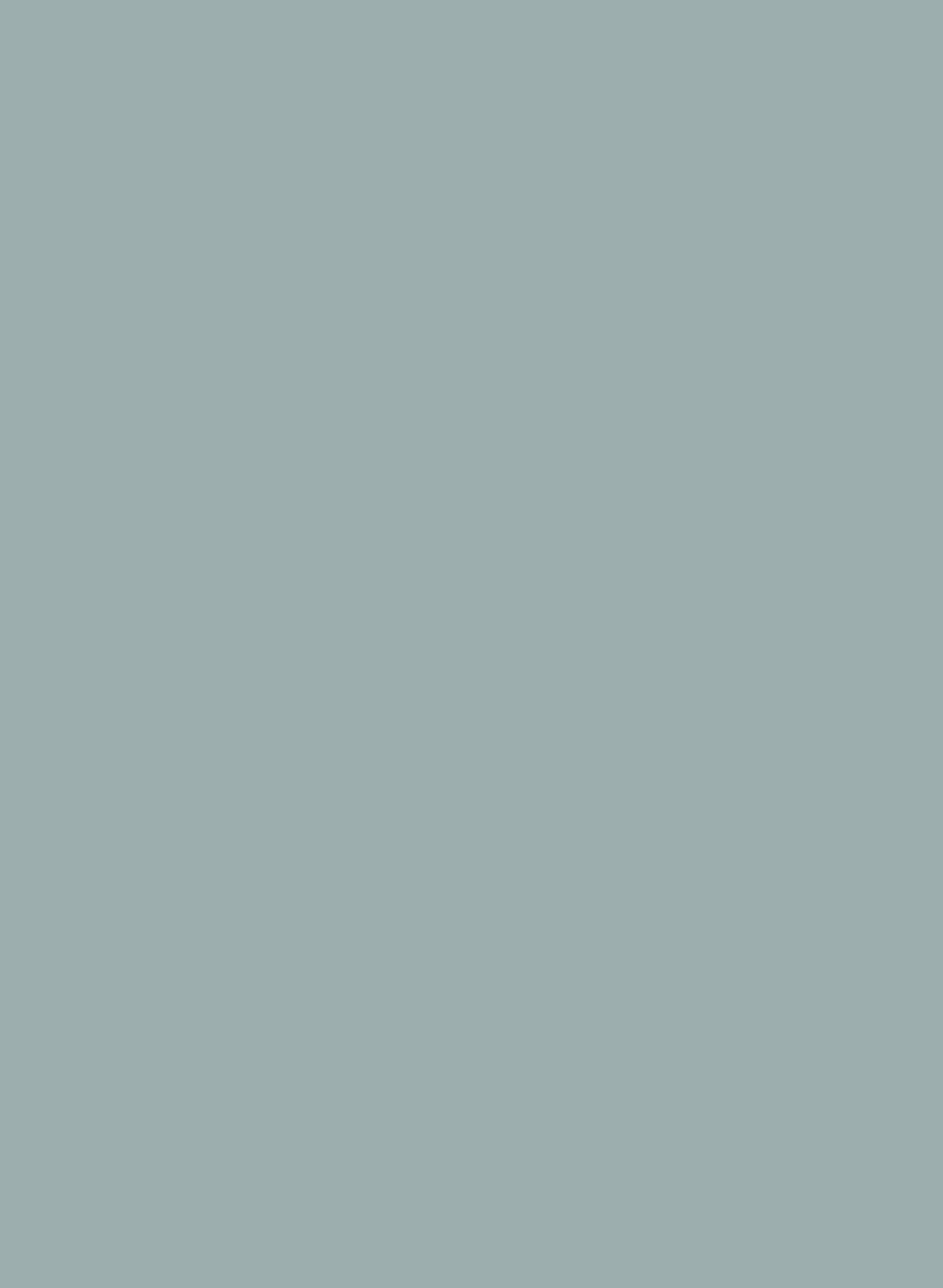Spruce 690 ASP