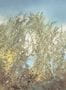 15301_01_Isidore_Leroy_Cannes_Provencales_6264501_-182858