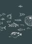 8513_3_Coordonne_Wandbild_Sea_Current_9500602-70155