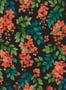5705_2_cole_son_bougainvillea_117-6017-59233