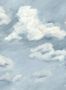 7711_2_Harlequin_Air_113003-101176