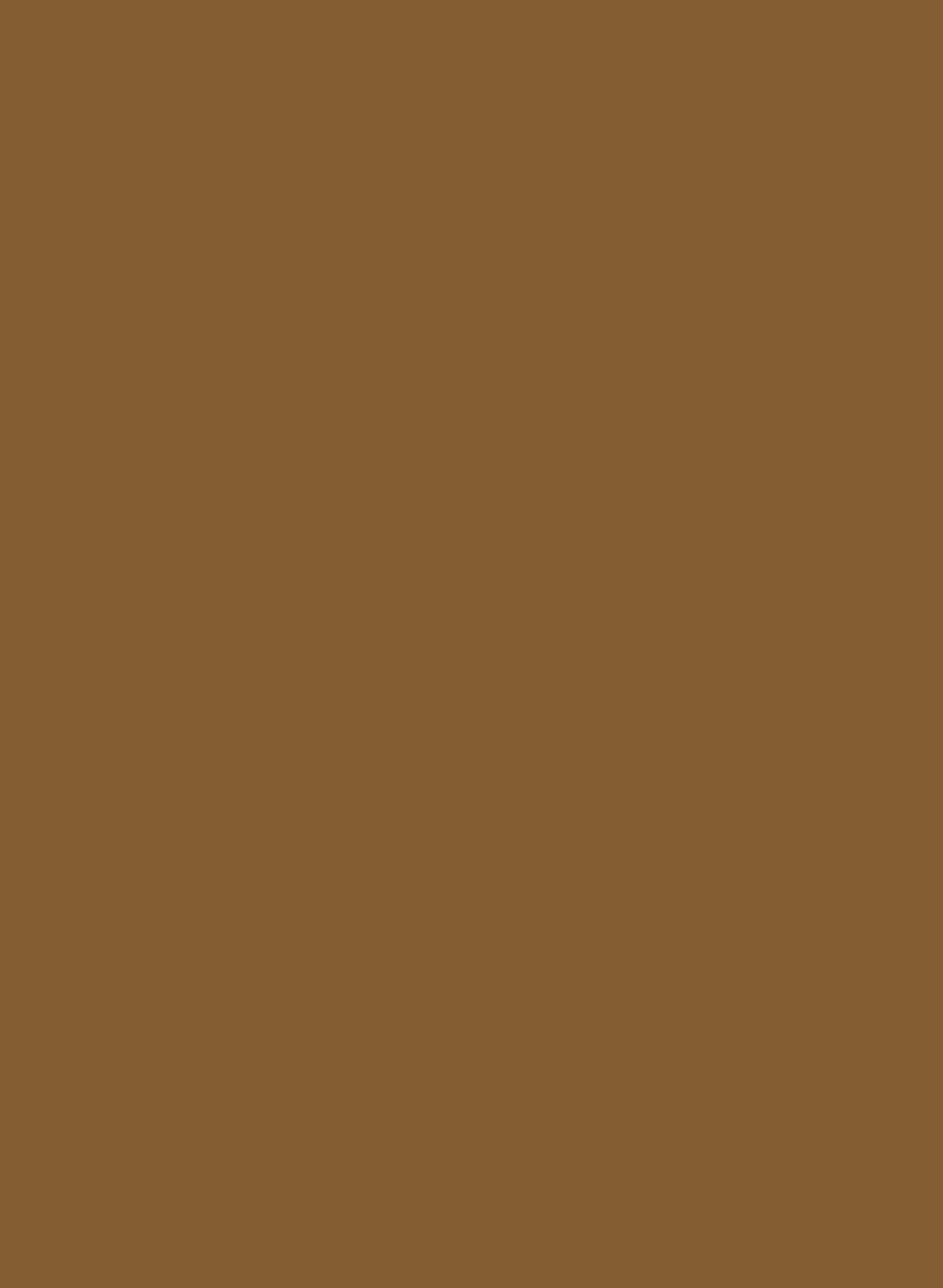 Intelligent All Surface Primer - Tan 210
