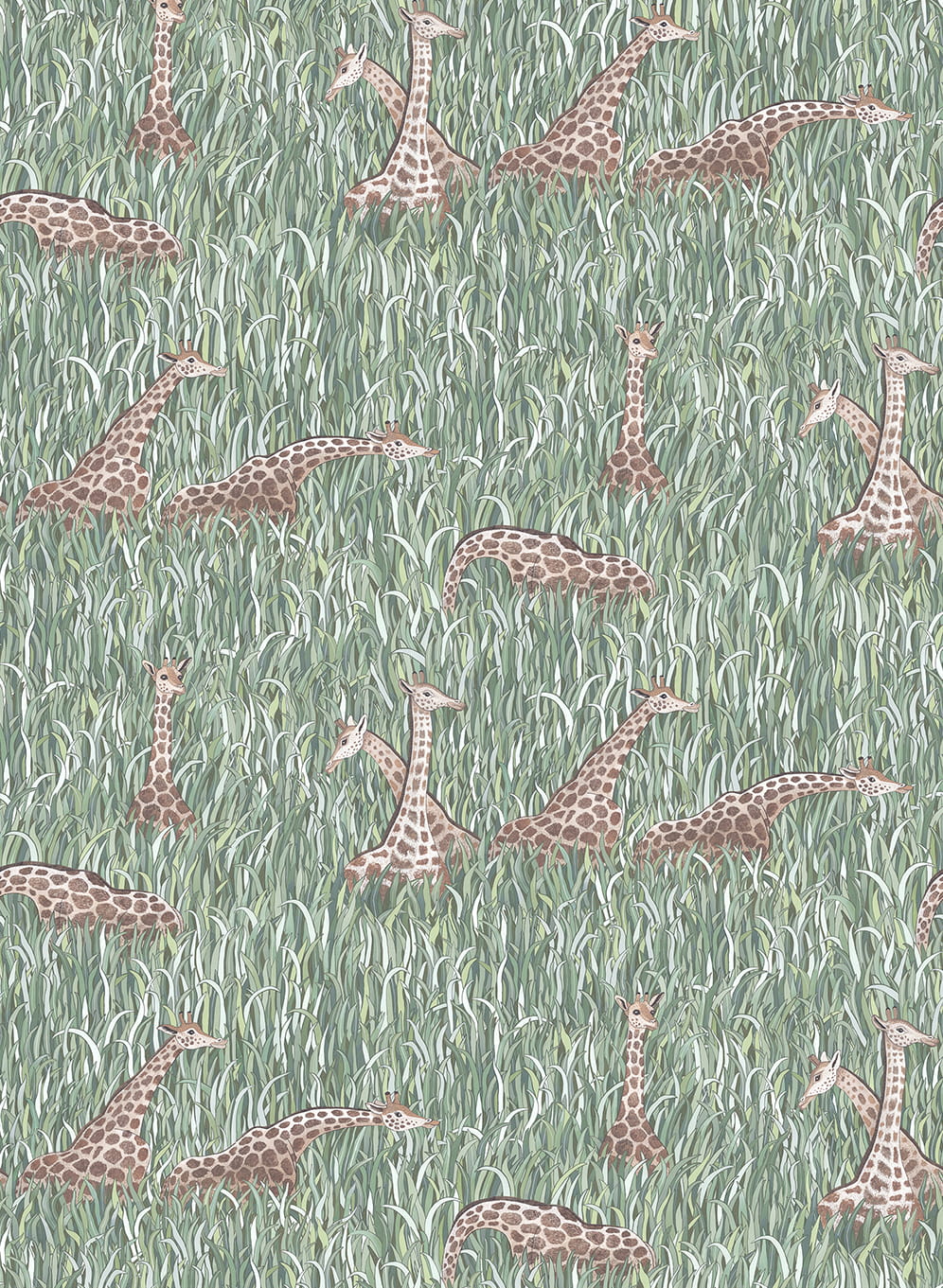 Papier peint Giraffes - Aqua