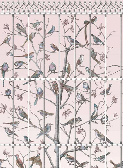 Tapete Uccelli - Ballet Slipper
