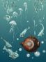 4470_1_edmond-petit_nautilus-droit_turquise_rm109-02-53759