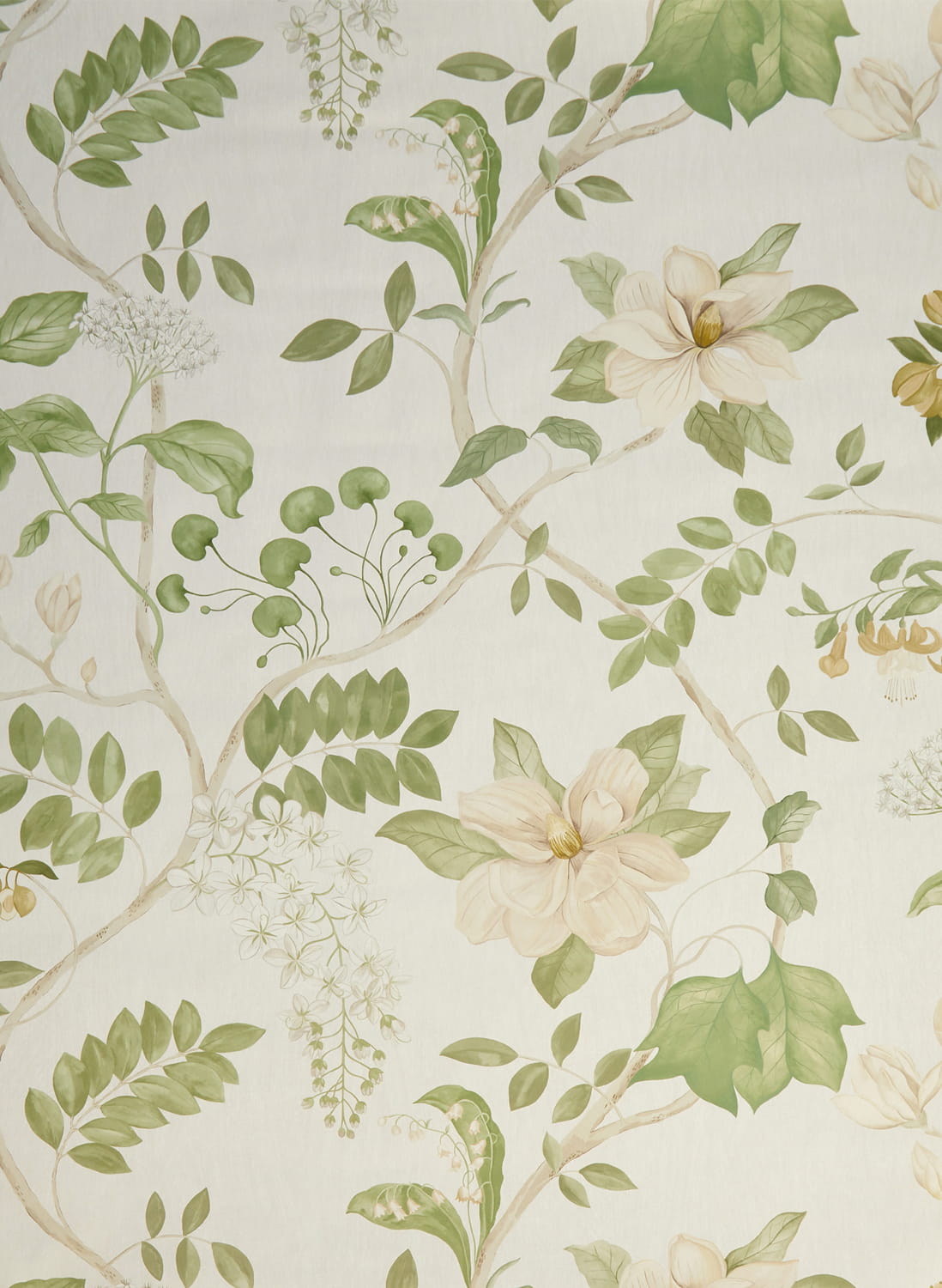 Wallpaper Magical Plants - Lichen