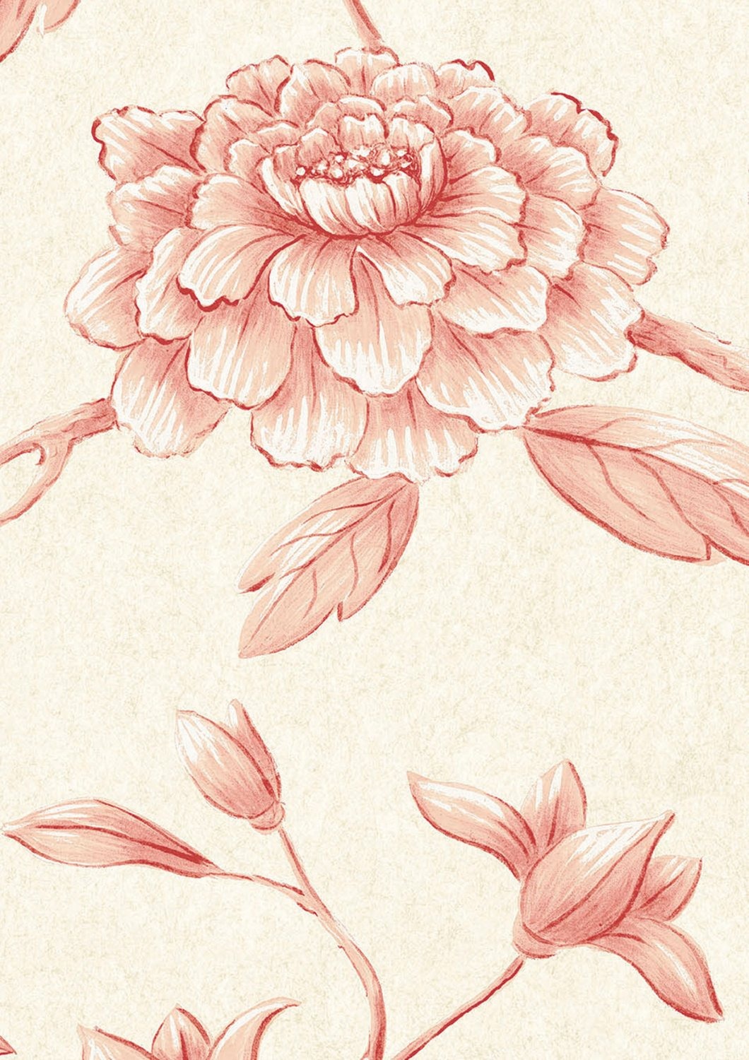 Wallpaper Jasper Peony - Rose