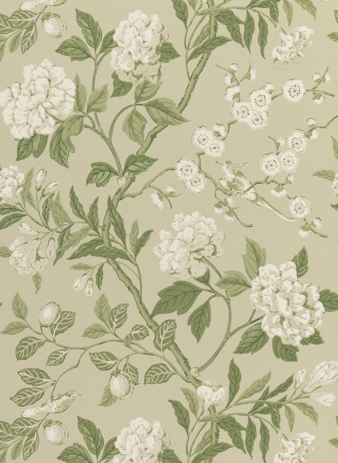 Tapete Emperor's Garden - Soft Green