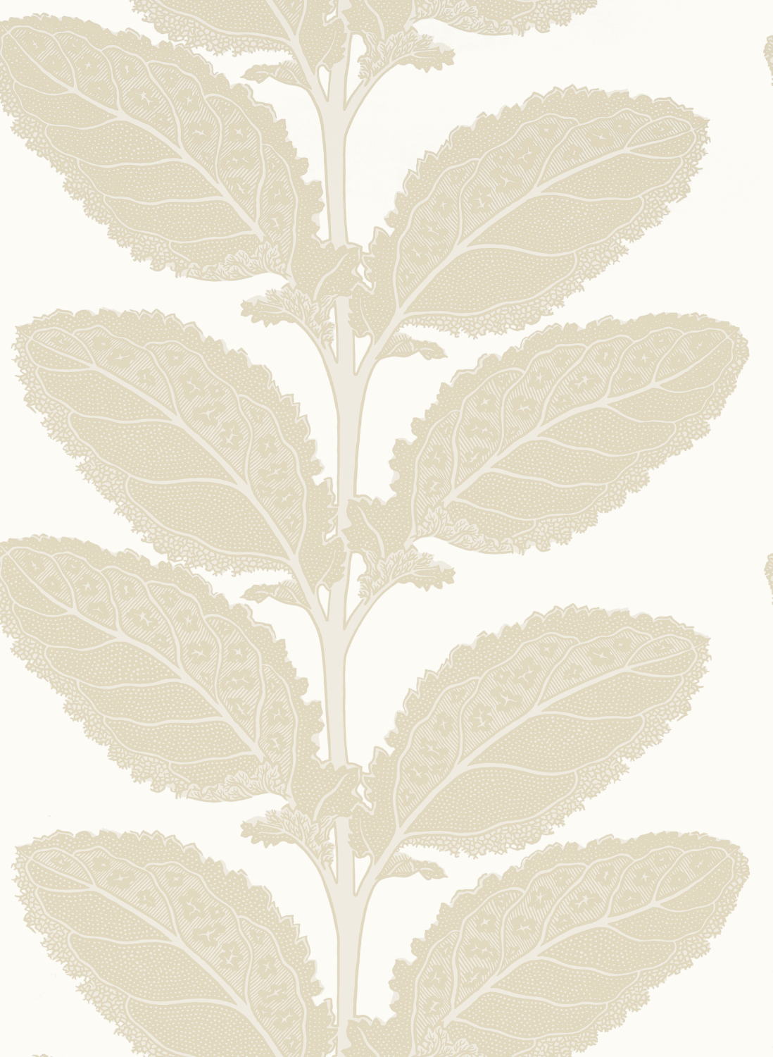Tapete Lacinato - Birch