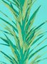 5180_1_sanderson_yucca_216648-54589