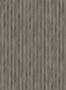 9632_5_Coordonne_Wheat-Spike_A00436-99725