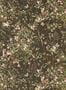 8372_2_Sanderson_Bambi_DDIW217277-113360
