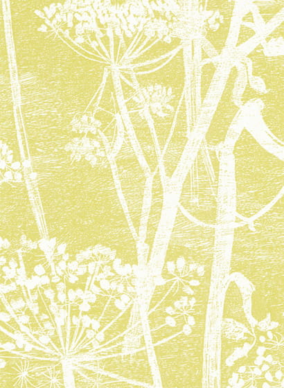 Tapete Cow Parsley - White/ Chartreuse