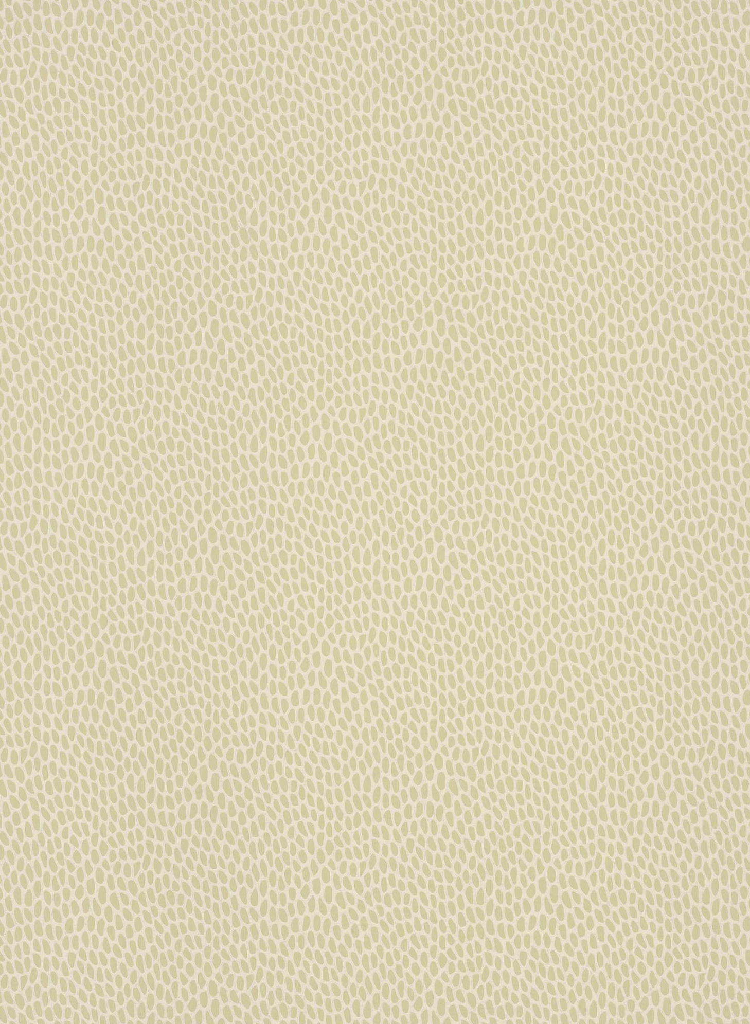 Tapete Seedpod - Willow 5