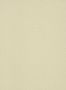 7063_7_Paint_Paper_Lib_Botany_Seedpod_Willow_V_0360SEWILLO-60655