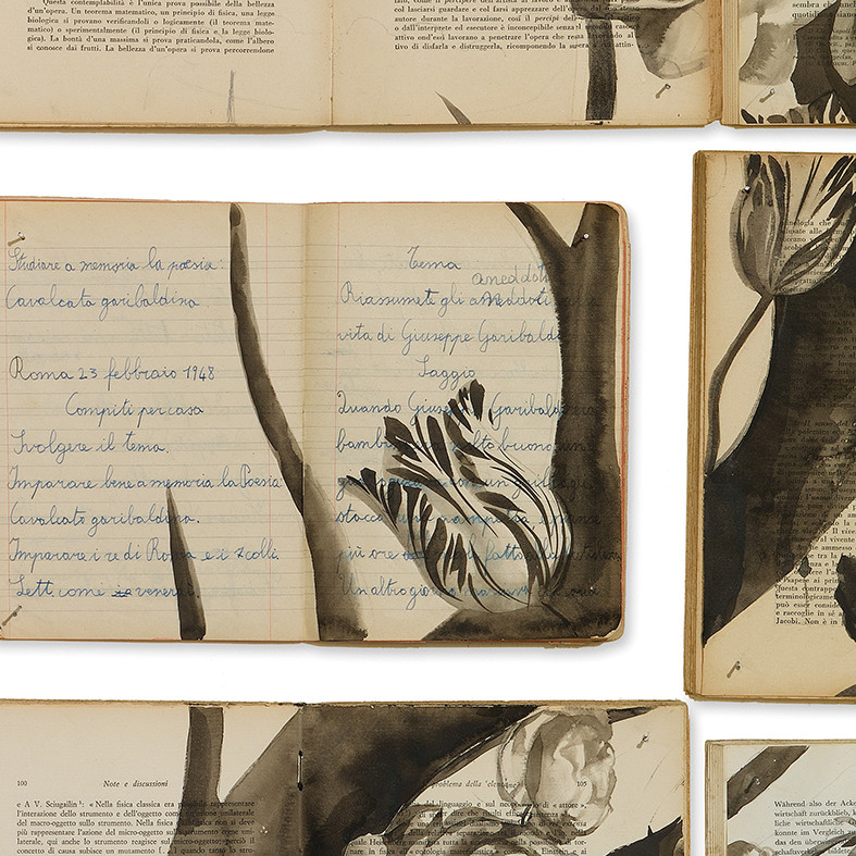 Tapete EKA-02 Bibliotheca - EKA-02
