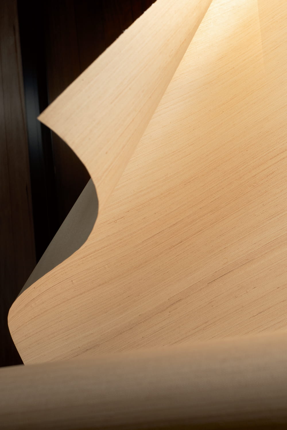 Tapete Pur Abaca - RM 1071 03