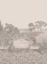 9426_3_Cole_and_Son_Idyll_120_1002-91886
