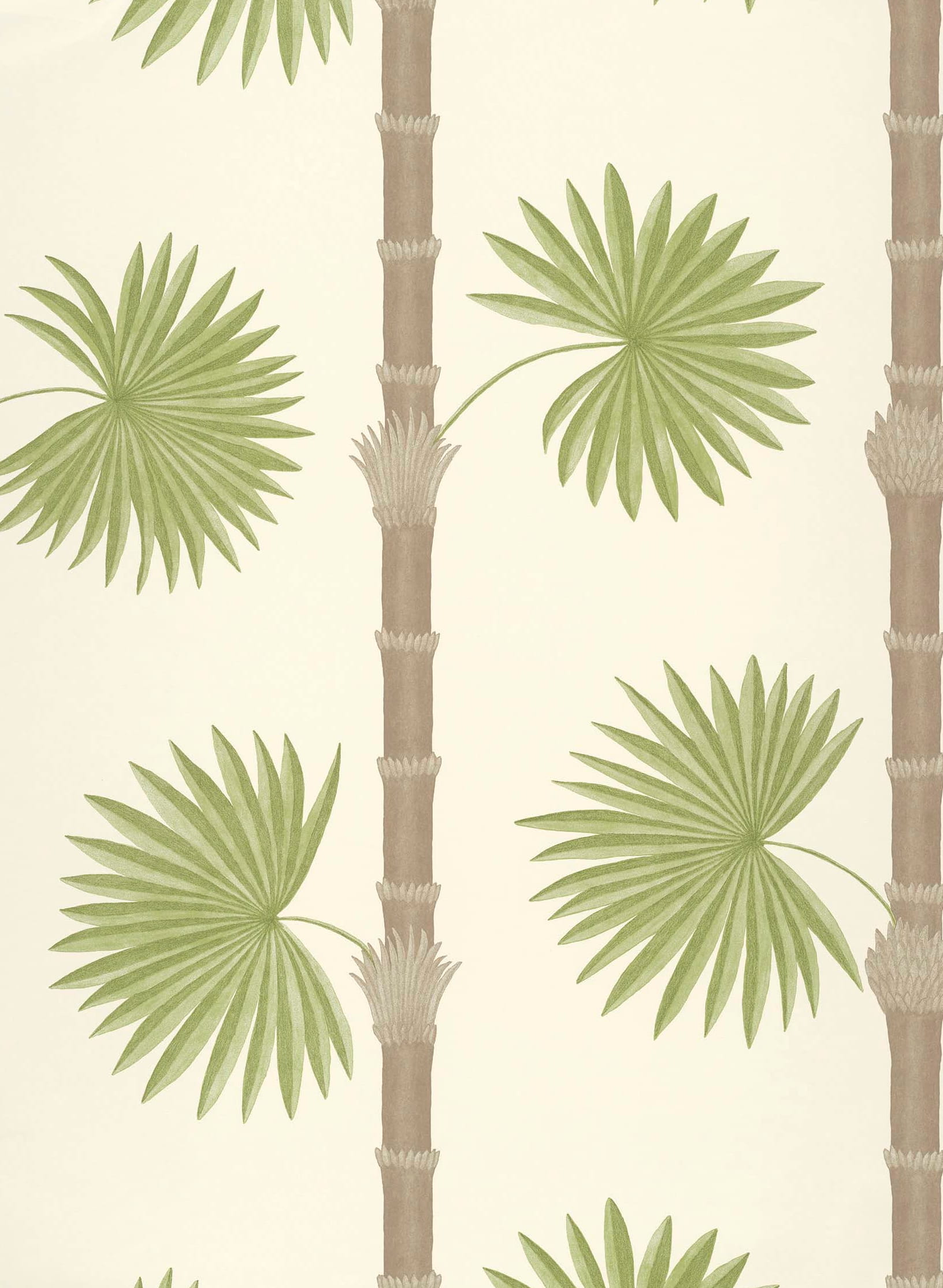 Tapete Hardy Palm - Sand 3