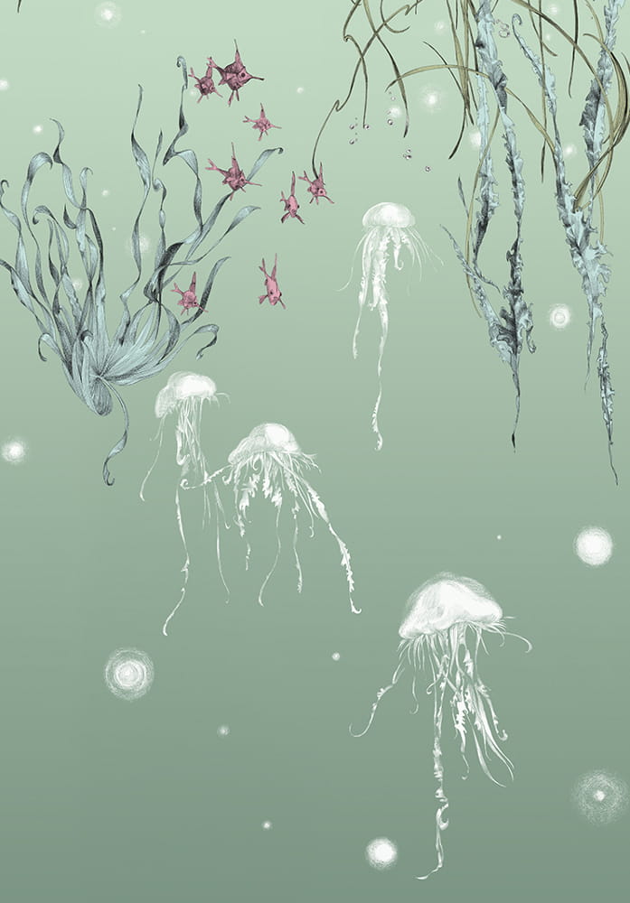 Tapete Nautilus/ Méduses/ Nénuphars - Méduses droit - Aqua