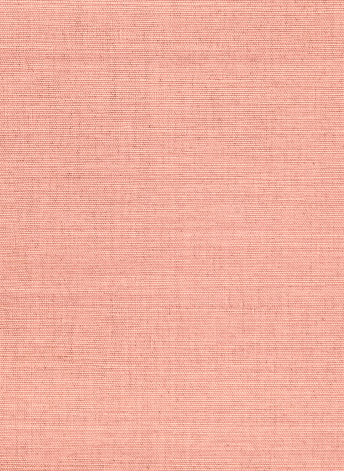 Tapete Line - Pink